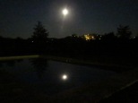 Pool by moonlight